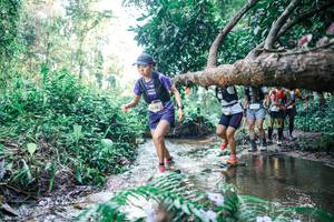 BIB: 
                            <button type="button" onclick="openModal(25442591)" class="btn btn-primary btn-sm float-right btn-popup" data-toggle="modal" data-target=".modal-high-quality">
                        <i class="fas fa-shopping-cart"></i> Add to Cart
                    </button>
                                            <button type="button" onclick="isThisMe(25442591, true)" class="btn btn-success btn-sm float-right btn-popup btn-isme hidden" data-toggle="tooltip" data-placement="bottom" title="นี่คือรูปของคุณใช่ไหม คลิกที่นี่เพื่อเอาเข้าอัลบั้ม">
                        <i class="fas fa-plus"></i> Add to album
                    </button>
                    <button type="button" onclick="isThisMe(25442591, false)" class="btn btn-warning btn-sm float-right btn-popup btn-isnotme hidden">
                        <i class="fas fa-ban"></i> Remove from album
                    </button>